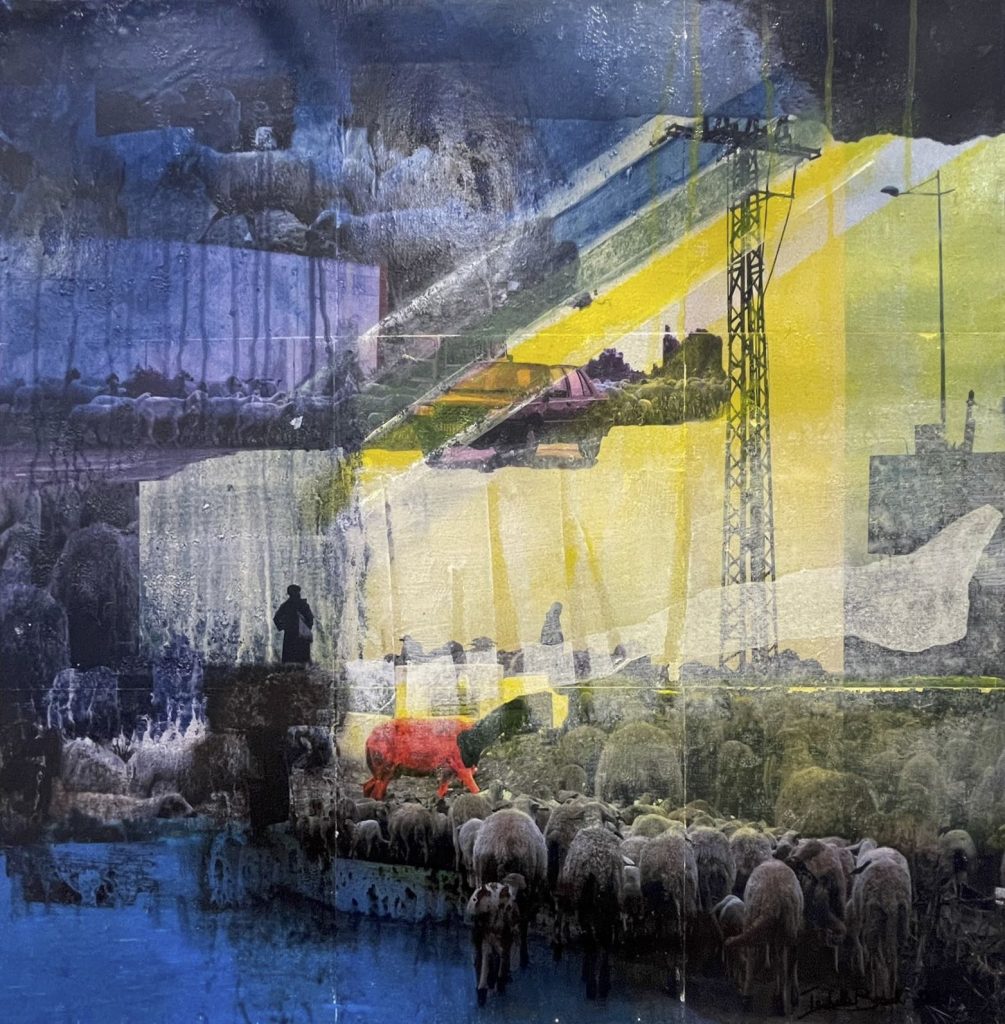 Isabelle Bauer: otra manera de ver su universo