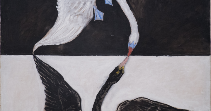 Hilma af Klint. Serie 'El cisne' (1914-15)