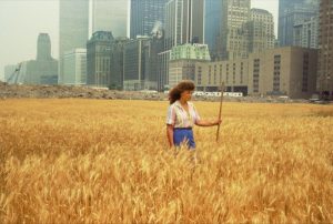 Agnes Denes: "Wheatfield – A Confrontation", 1982, Battery Park Landfill, Manhattan. © foto: John McGrall
