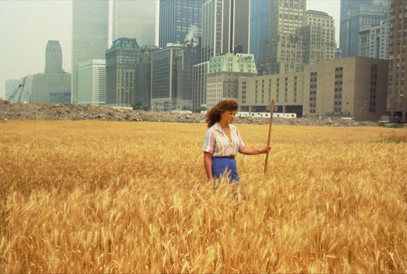 Agnes Denes: "Wheatfield – A Confrontation", 1982, Battery Park Landfill, Manhattan. © foto: John McGrall