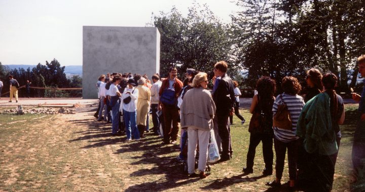 «Descenso al limbo» de Anish Kapoor (1992)